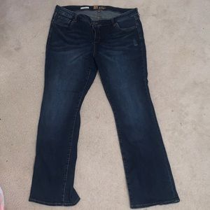 KUT from Kloth Jeans